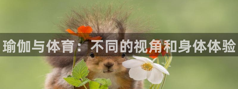 MK体育官网下载招商:瑜伽与体育:不同的视角和身体体验